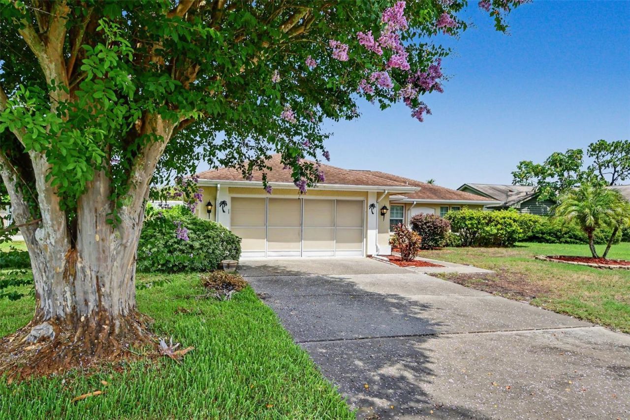 3723 Sarazen Drive, New Port Richey, FL 34655 Photo