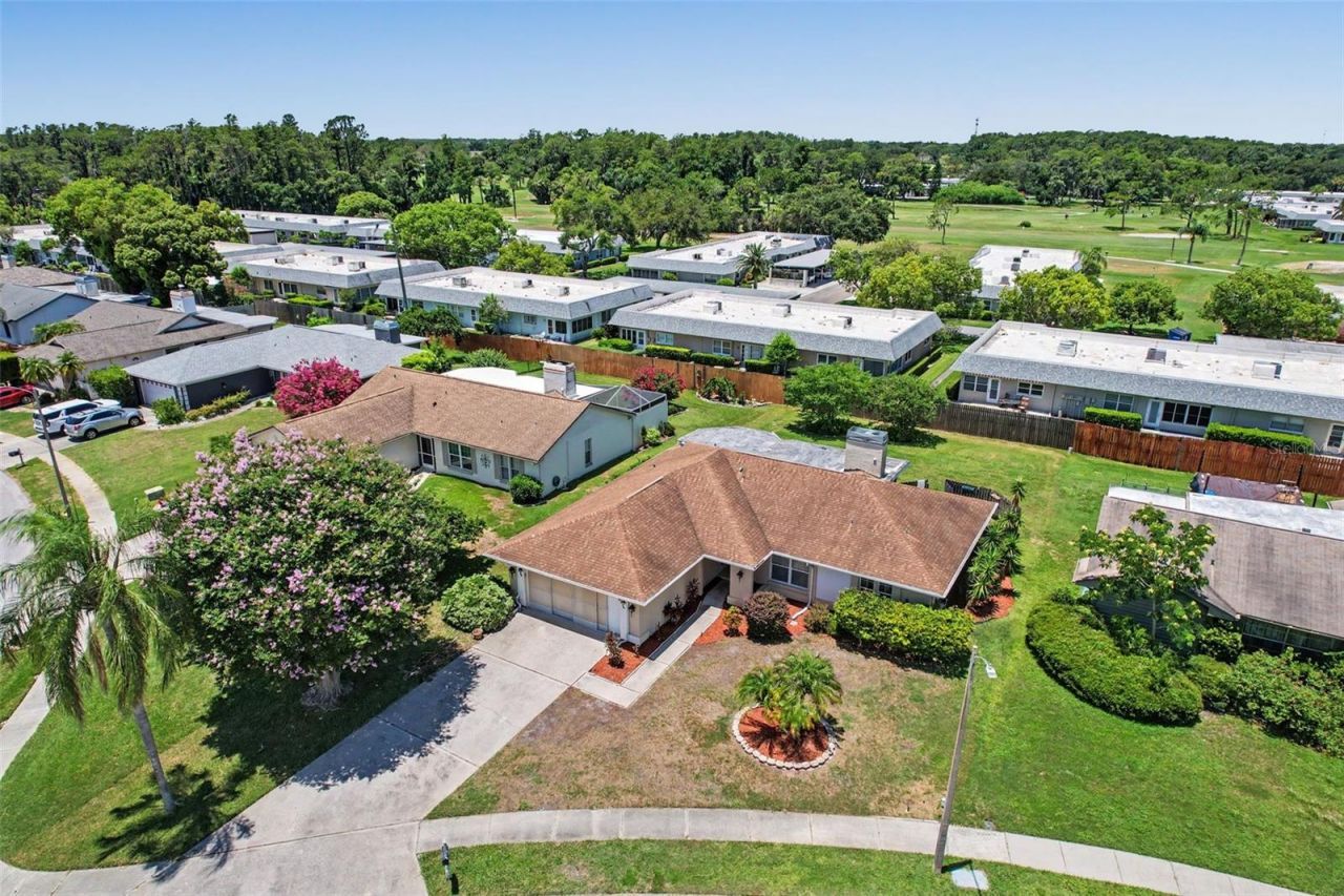 3723 Sarazen Drive, New Port Richey, FL 34655 Photo