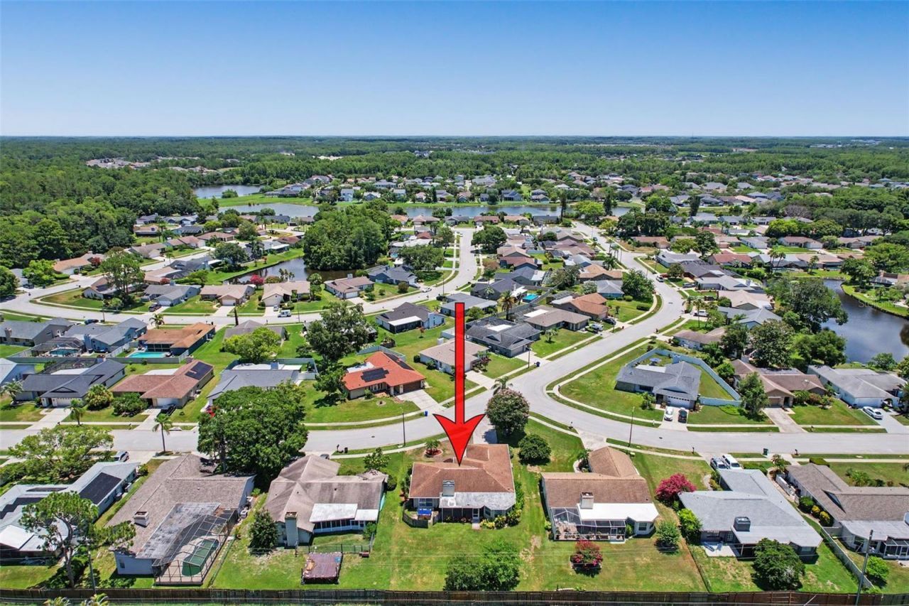 3723 Sarazen Drive, New Port Richey, FL 34655 Photo