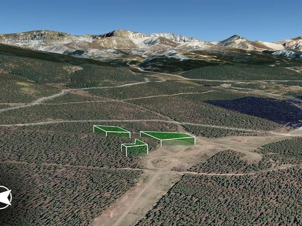 11238 ABC & Comet, Leadville, CO 80461
