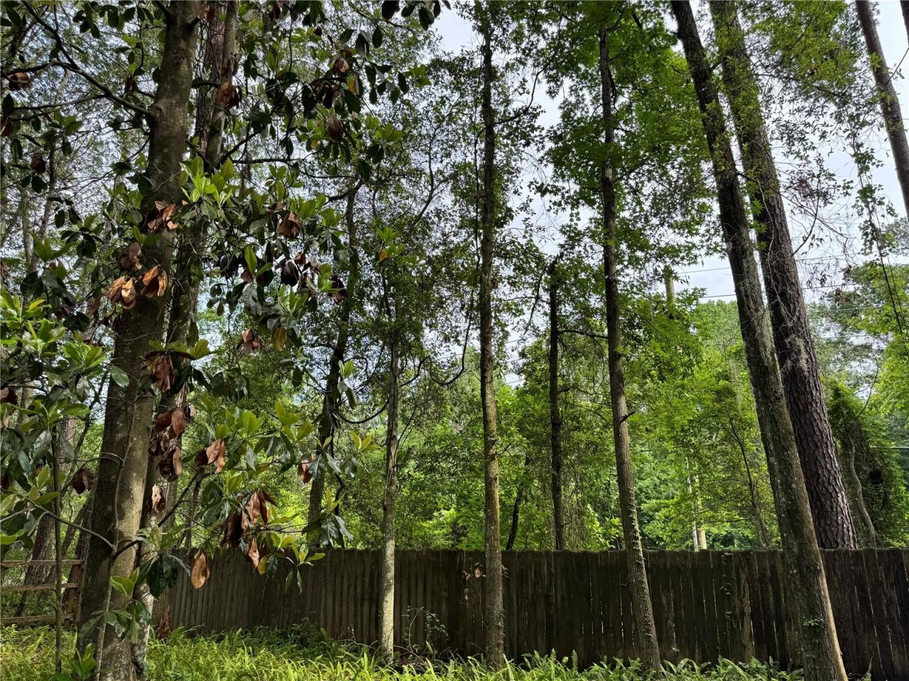 713 NW 95th Terrace, Gainesville, FL 32607 Photo