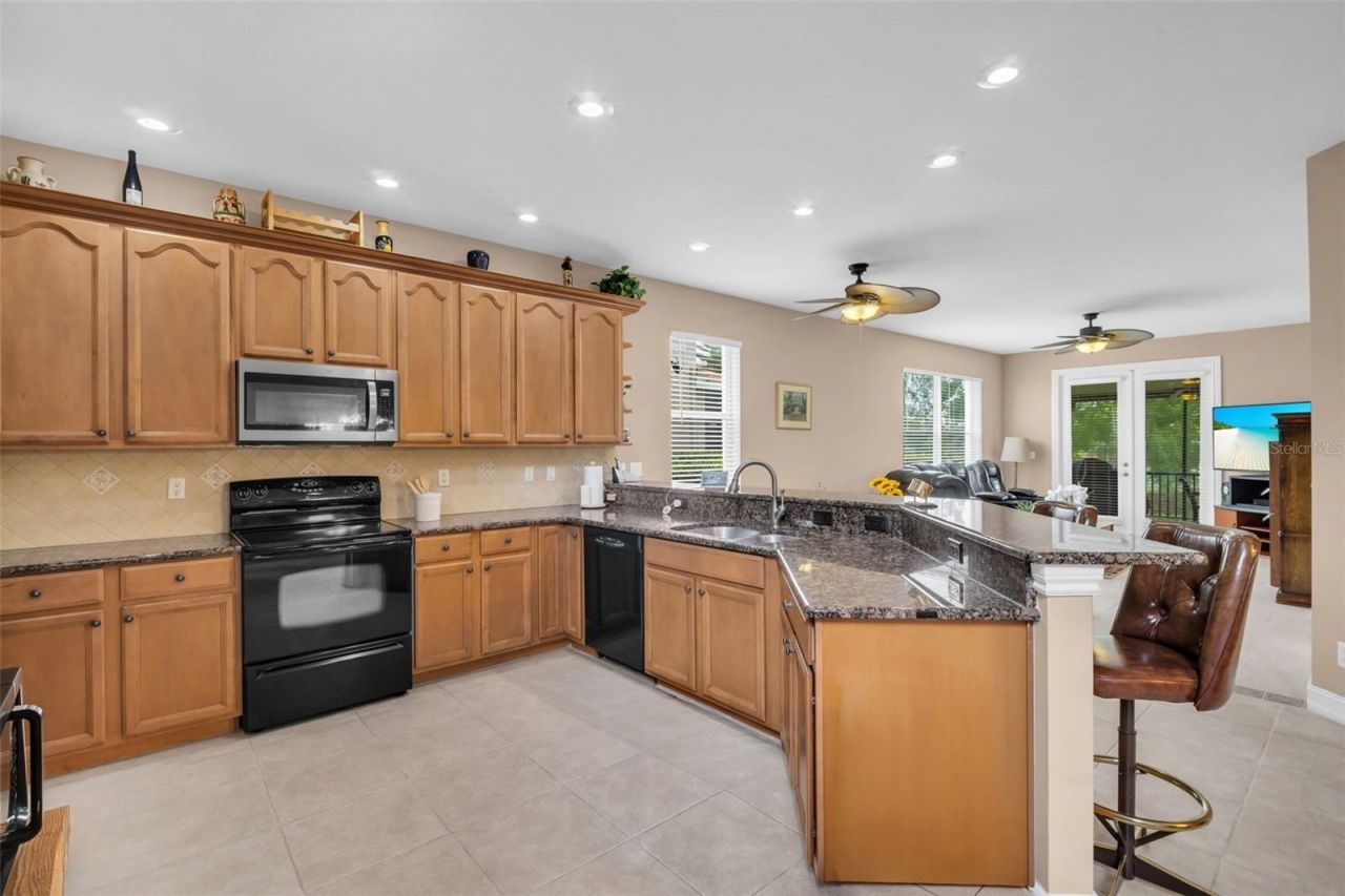 1460 Ribolla Drive, Palm Harbor, FL 34683 Photo