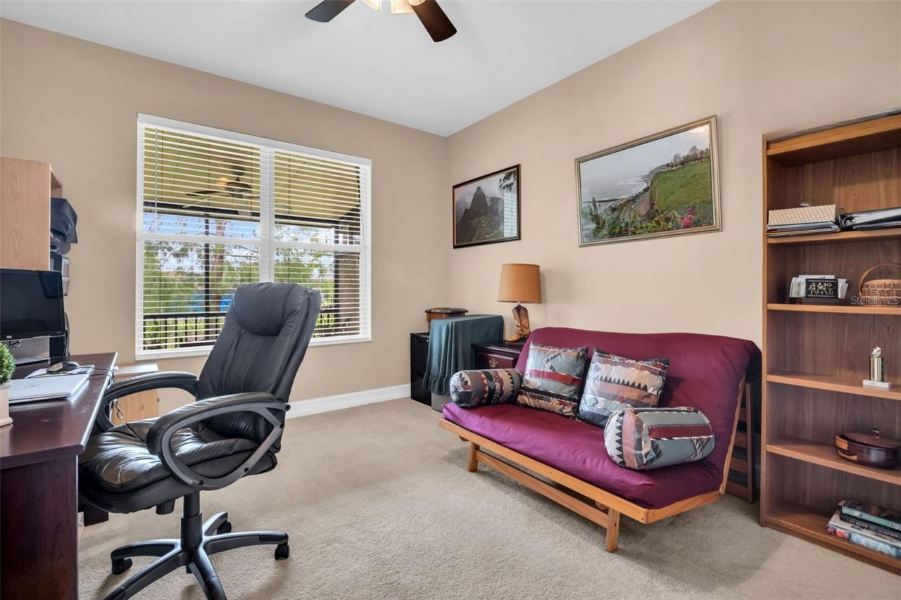 1460 Ribolla Drive, Palm Harbor, FL 34683 Photo