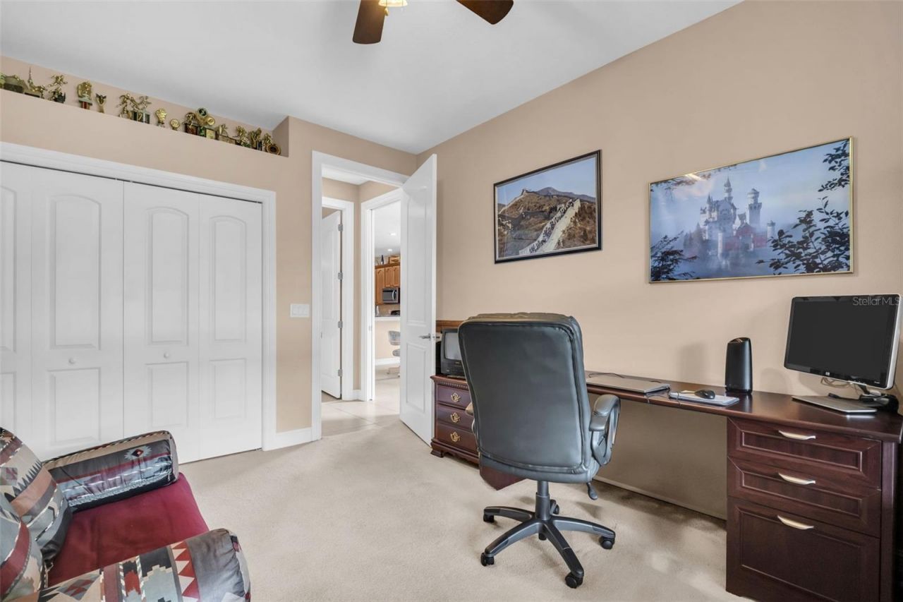1460 Ribolla Drive, Palm Harbor, FL 34683 Photo
