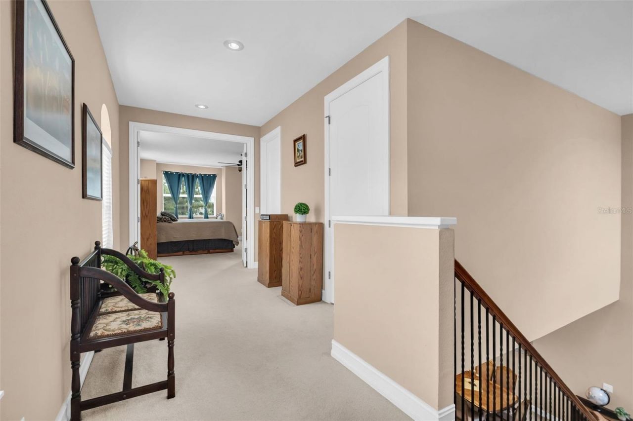 1460 Ribolla Drive, Palm Harbor, FL 34683 Photo