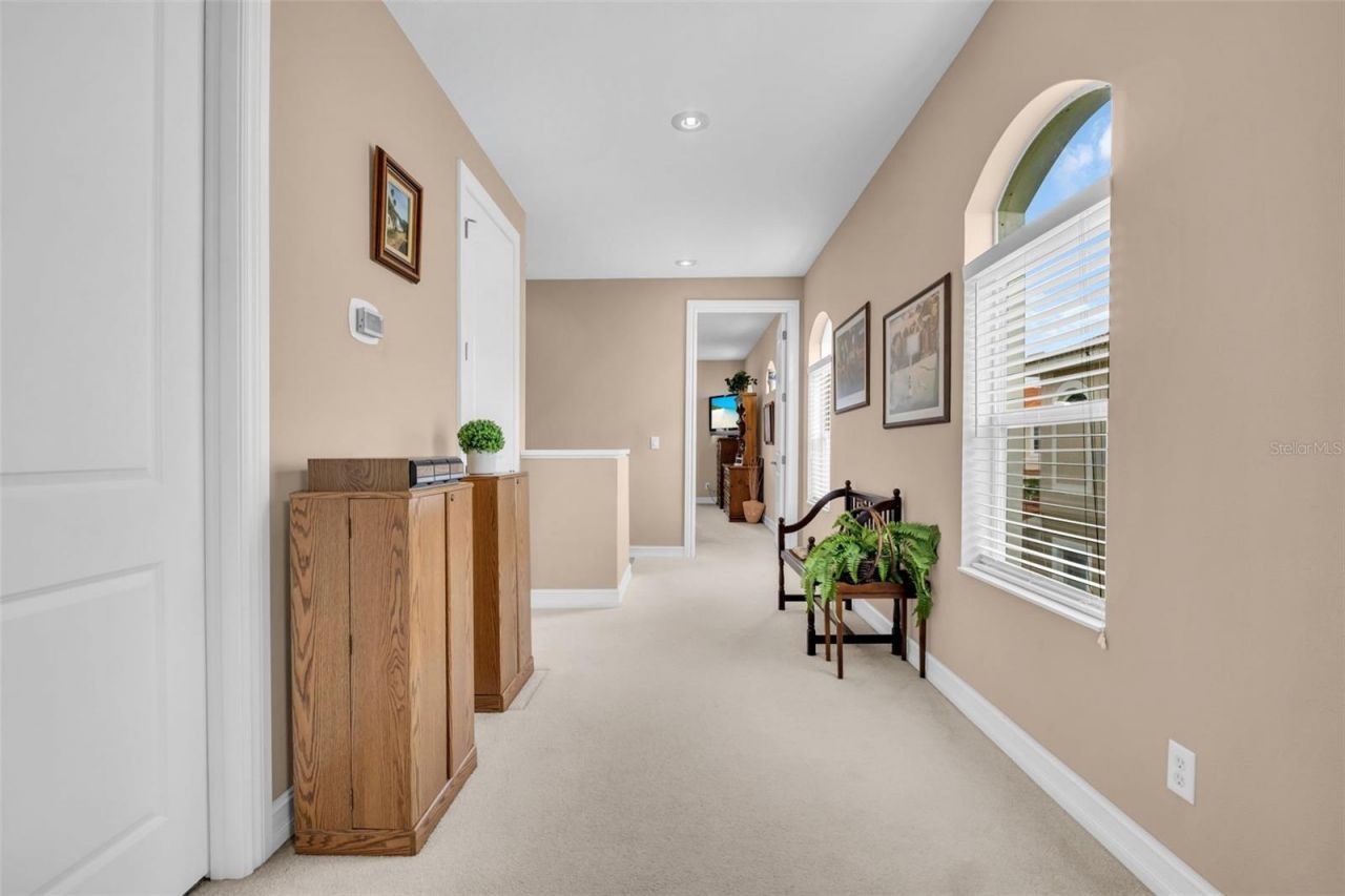 1460 Ribolla Drive, Palm Harbor, FL 34683 Photo