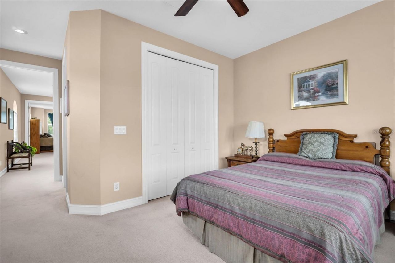 1460 Ribolla Drive, Palm Harbor, FL 34683 Photo