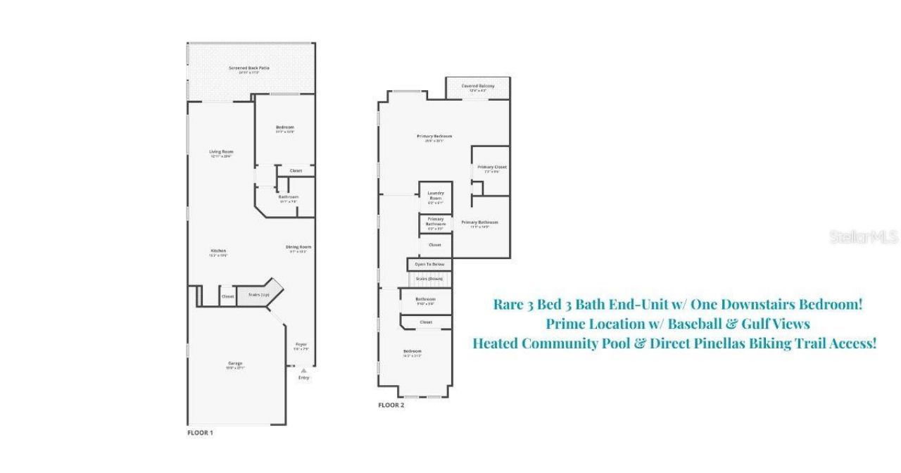 1460 Ribolla Drive, Palm Harbor, FL 34683 Photo
