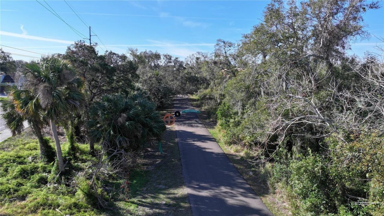 1460 Ribolla Drive, Palm Harbor, FL 34683 Photo
