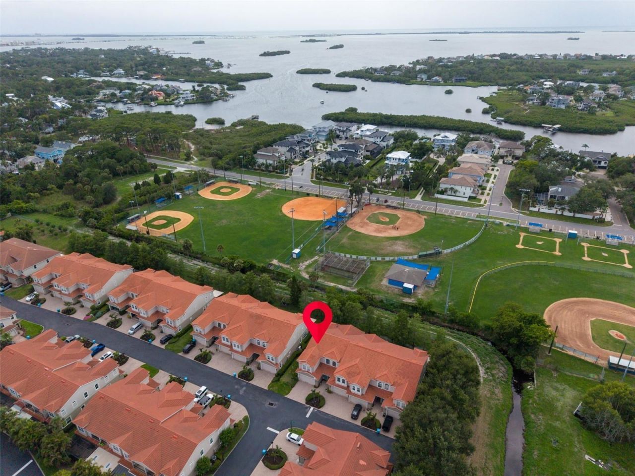 1460 Ribolla Drive, Palm Harbor, FL 34683 Photo