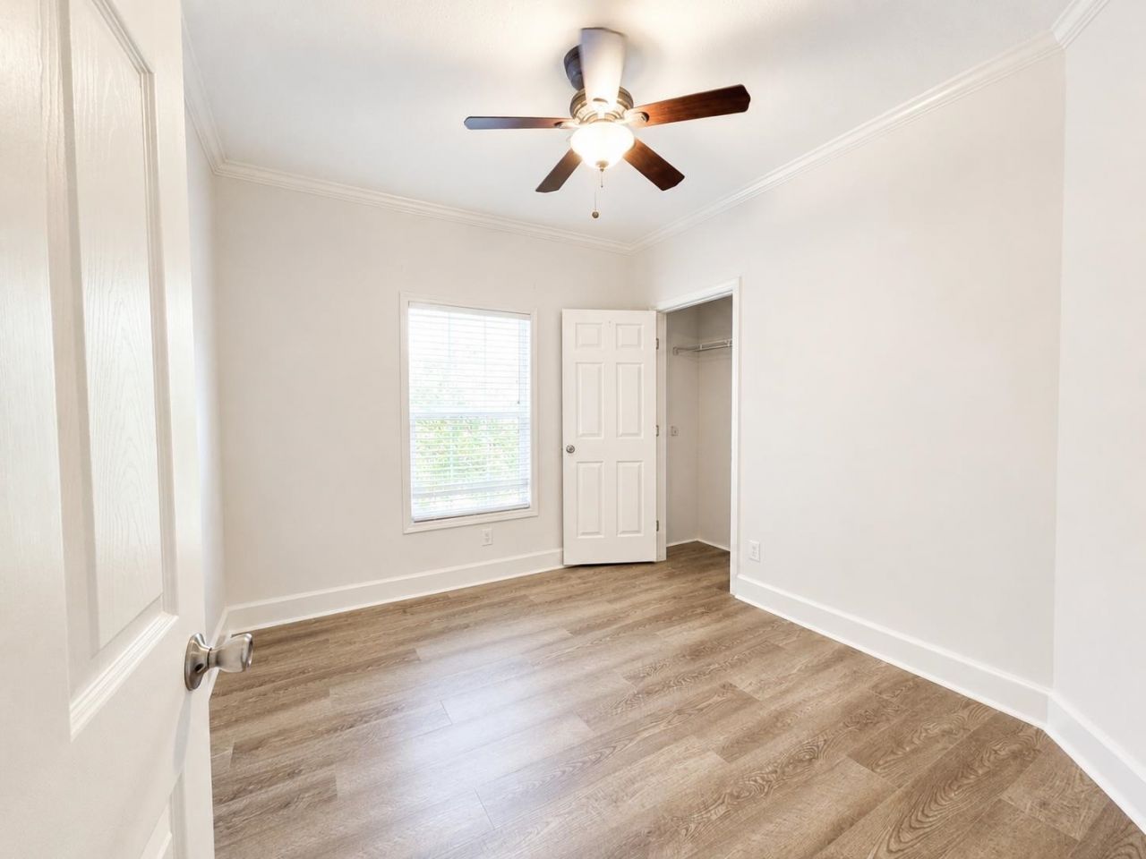 151 Hawks Nest Circle  Photo 18