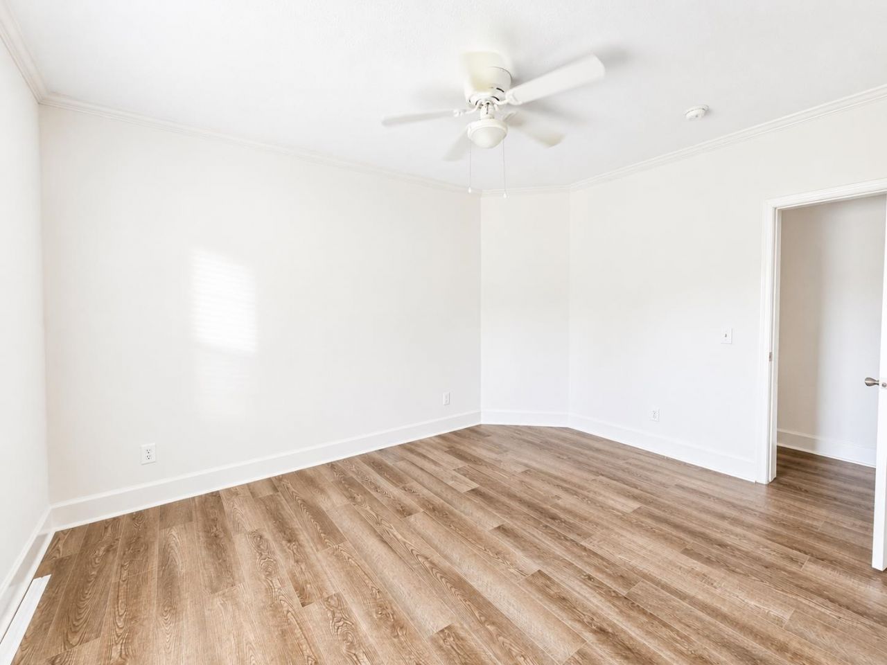 151 Hawks Nest Circle  Photo 20