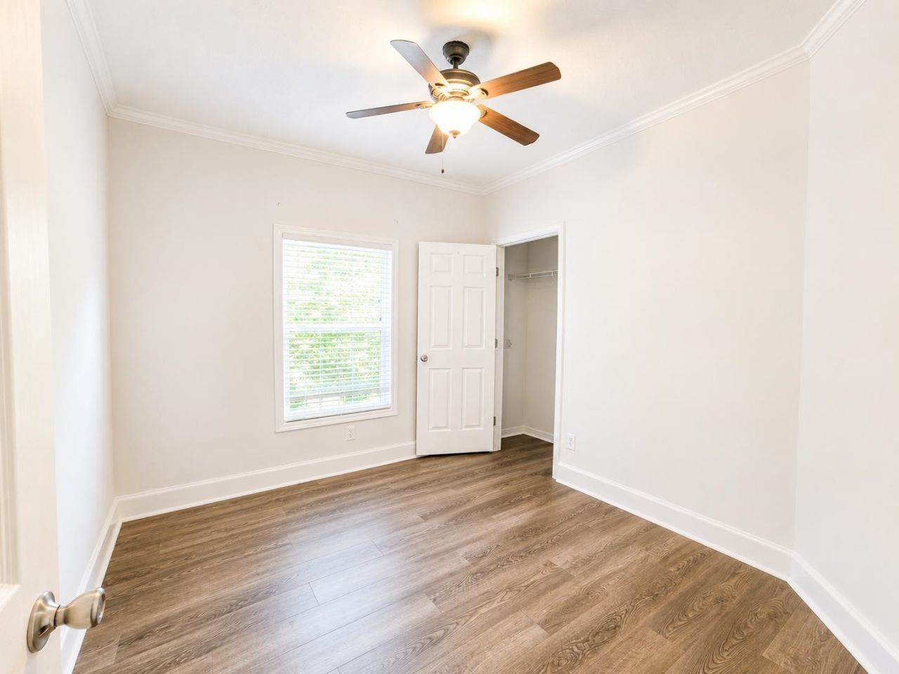 151 Hawks Nest Circle  Photo 21