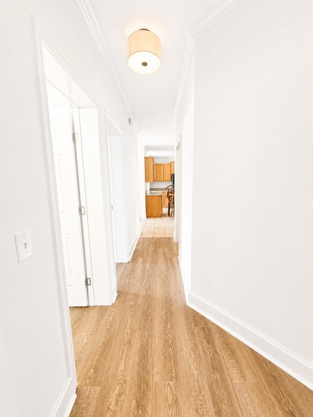 151 Hawks Nest Circle  Photo 26