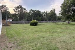 146 Starling Court  photo 4