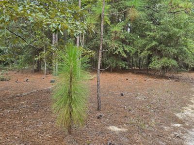 317 R J Johnson Road, Allendale, SC 29810