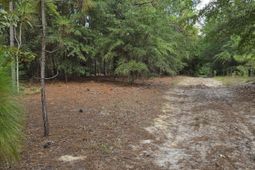317 R J Johnson Road photo 4