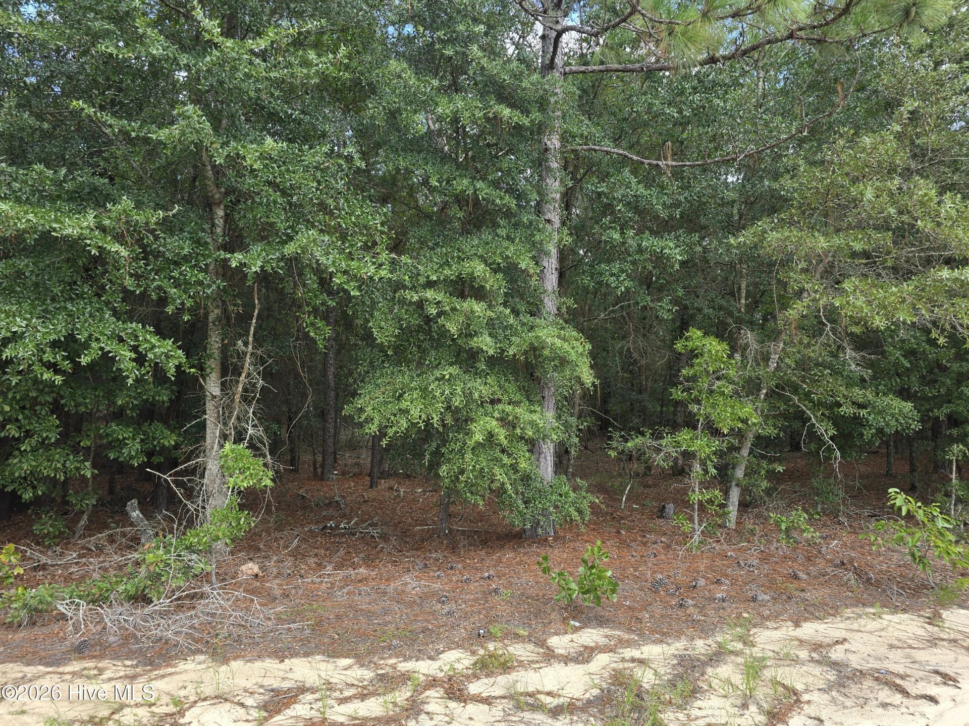 317 R J Johnson Road Photo 4