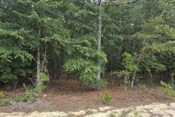 317 R J Johnson Road photo 4