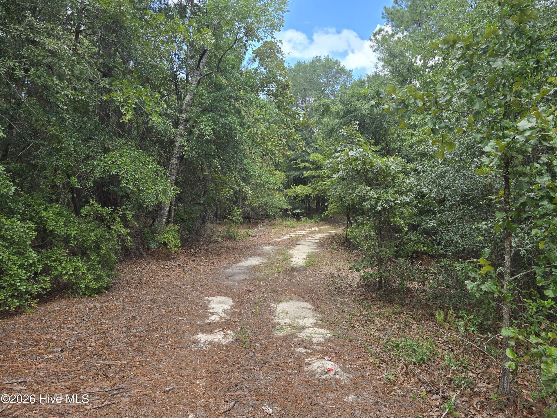 317 R J Johnson Road Photo 5