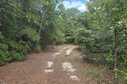 317 R J Johnson Road photo 4