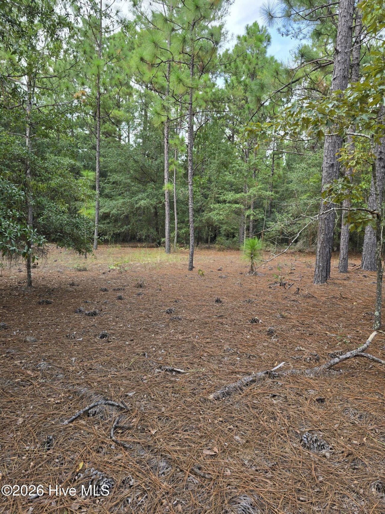 317 R J Johnson Road Photo 6