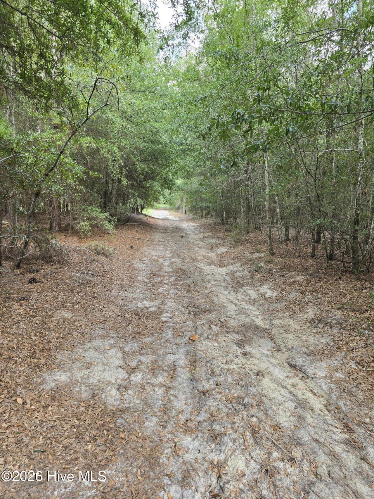 317 R J Johnson Road Photo 7