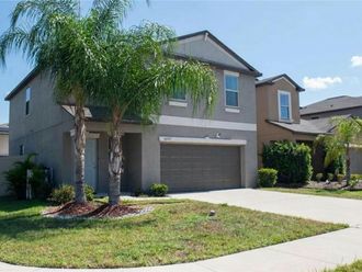 10202 COOL WATERLILY AVENUE Riverview, FL 33578