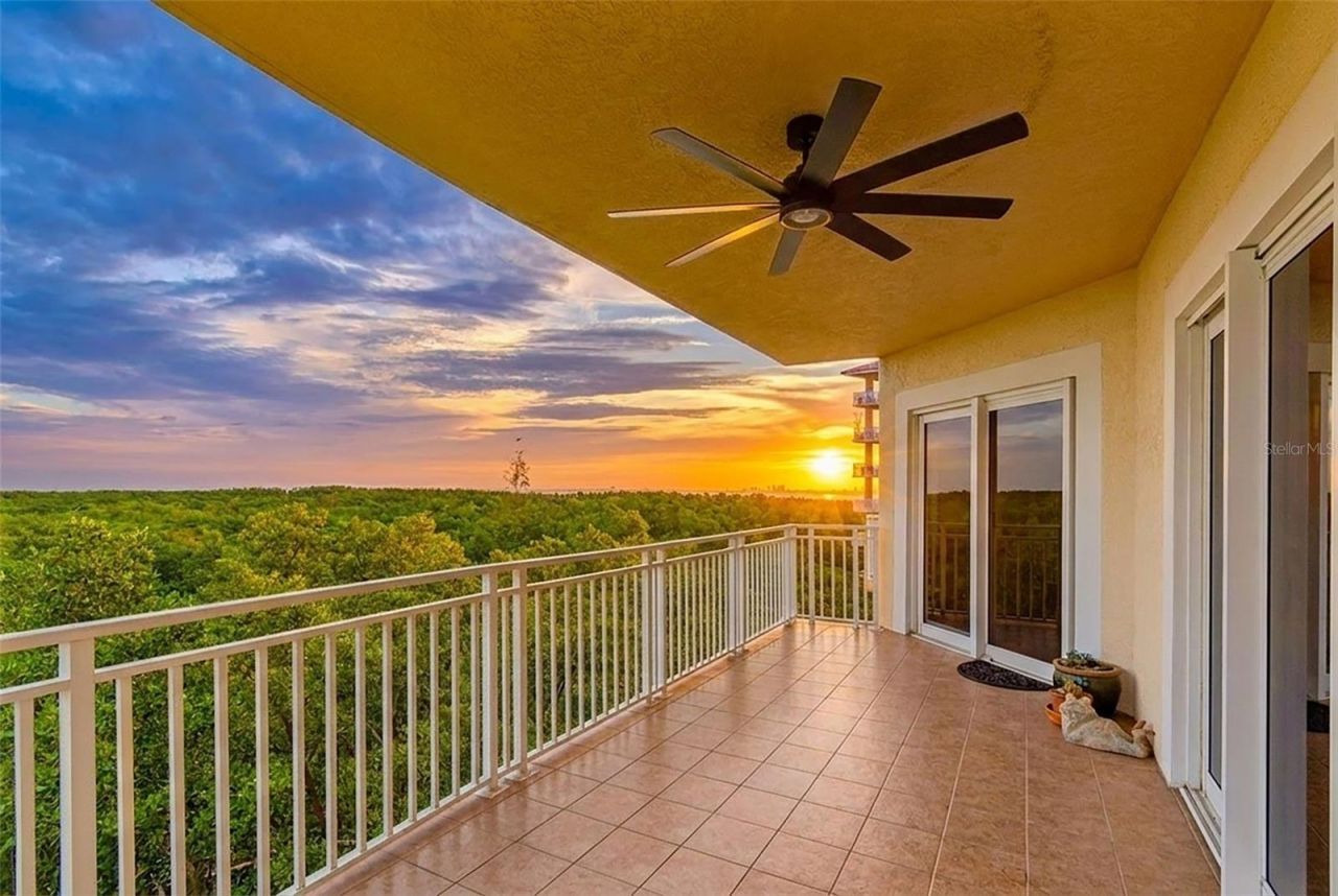 12033 Gandy Boulevard N, Unit 151, Saint Petersburg, FL 33702 Photo
