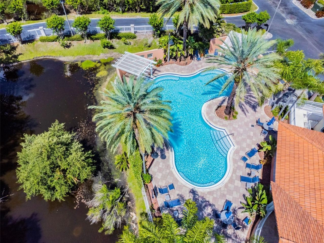 12033 Gandy Boulevard N, Unit 151, Saint Petersburg, FL 33702 Photo