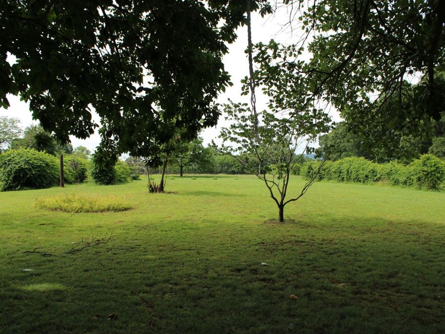 Property Image 30