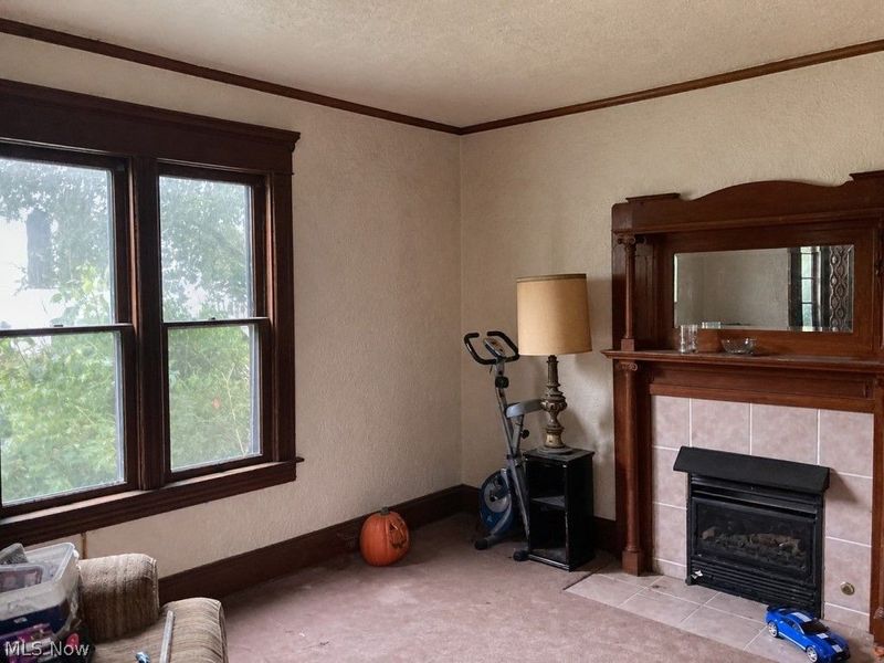 6472 W Calla Road, Canfield, OH 44406 Photo 6