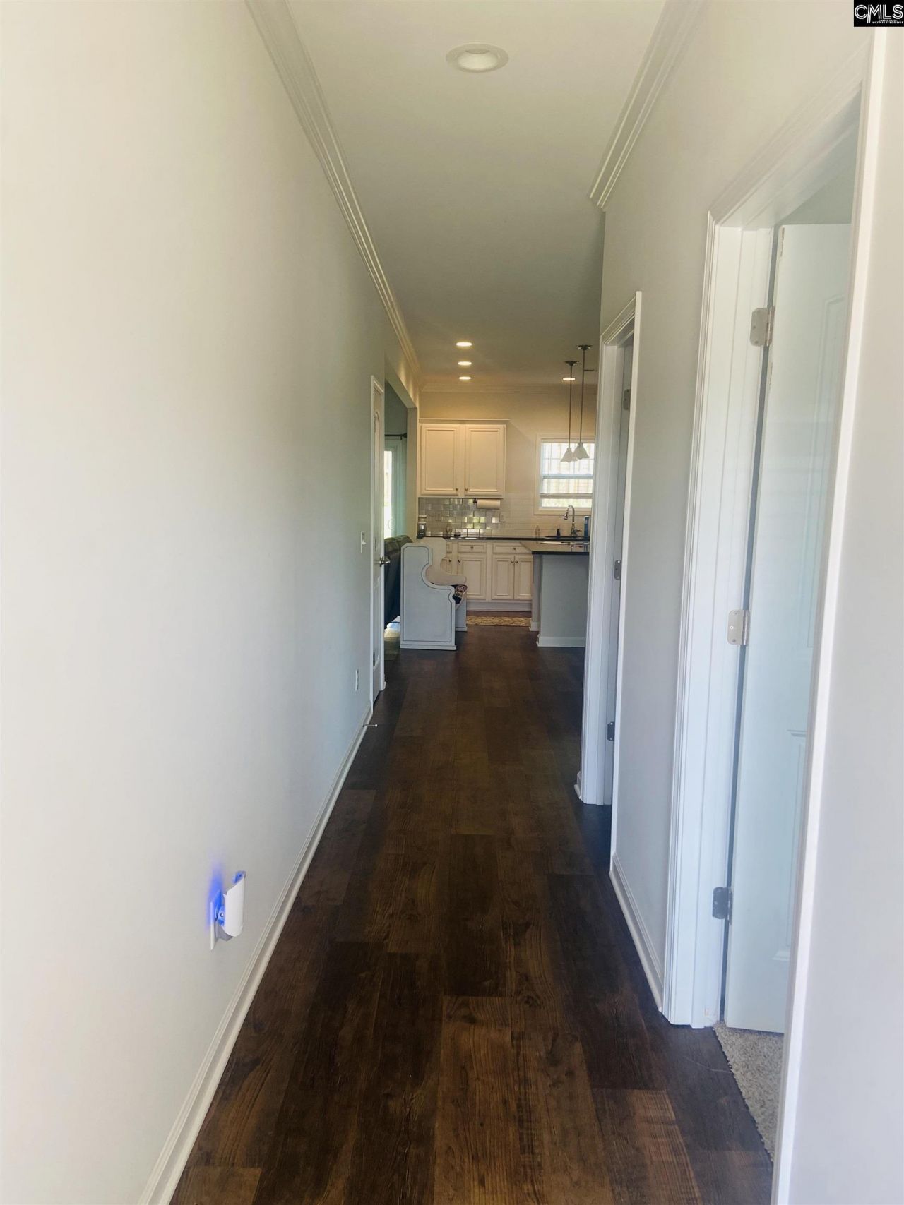 442 N Cobia Court  Photo 18