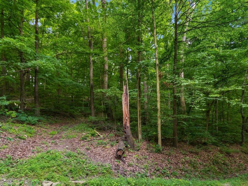 72845 Old Twenty-One Road, Kimbolton, OH 43749 Photo 33