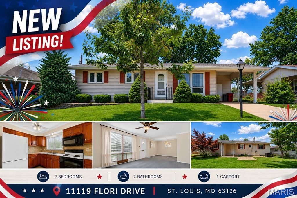 11119 Flori Drive, Saint Louis, MO 63123 Main Photo
