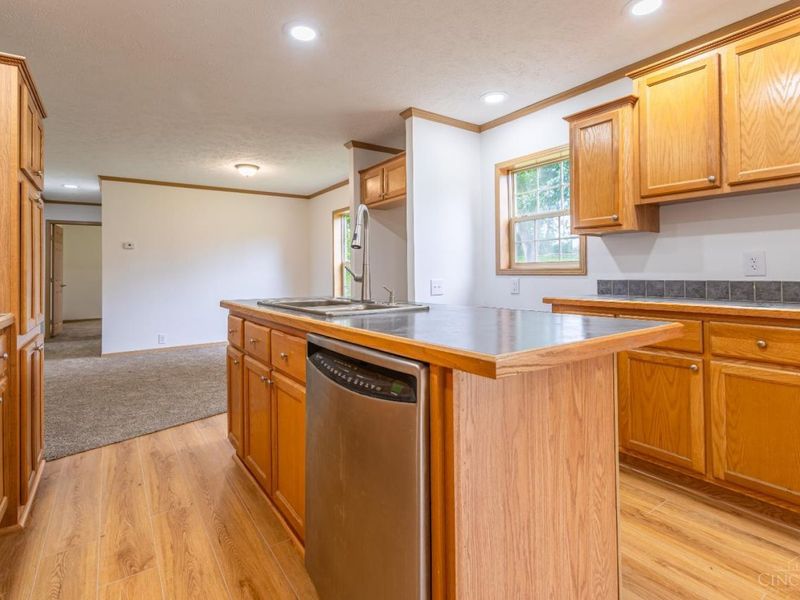 48 Watts Street, West Union, OH 45693 Photo 10