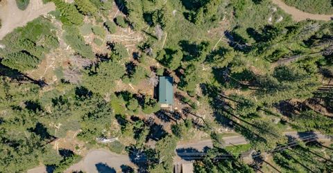 51349 Jeffery Pine, Soda Springs, CA 95728 Photo