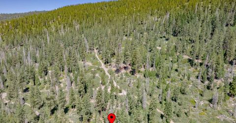 51349 Jeffery Pine, Soda Springs, CA 95728 Photo