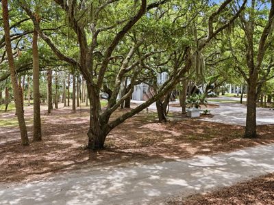 14 Hammocks Way, Edisto Island, SC 29438