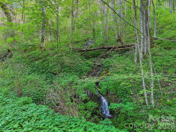 00 Star Crest Drive , Waynesville, NC 28785