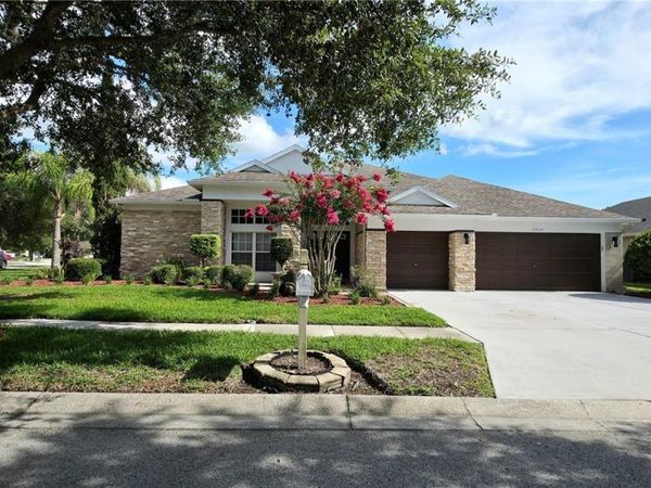 25638 FERDINAND COURT , WESLEY CHAPEL, FL 33544