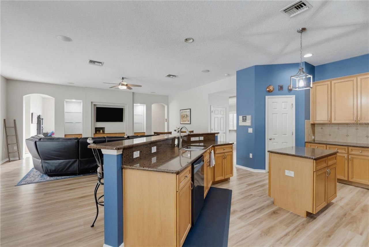11704 Newberry Grove Loop, Riverview, FL 33579 Photo
