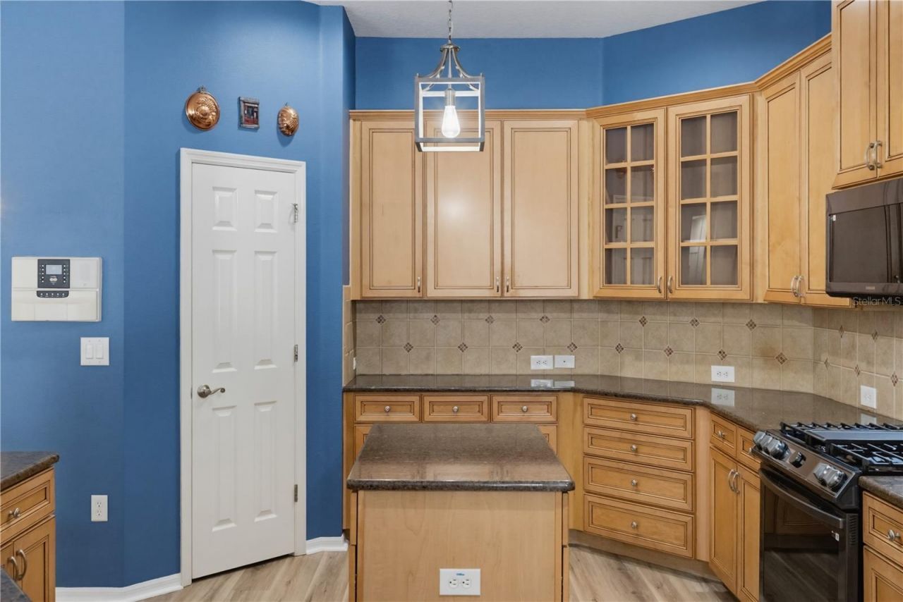 11704 Newberry Grove Loop, Riverview, FL 33579 Photo
