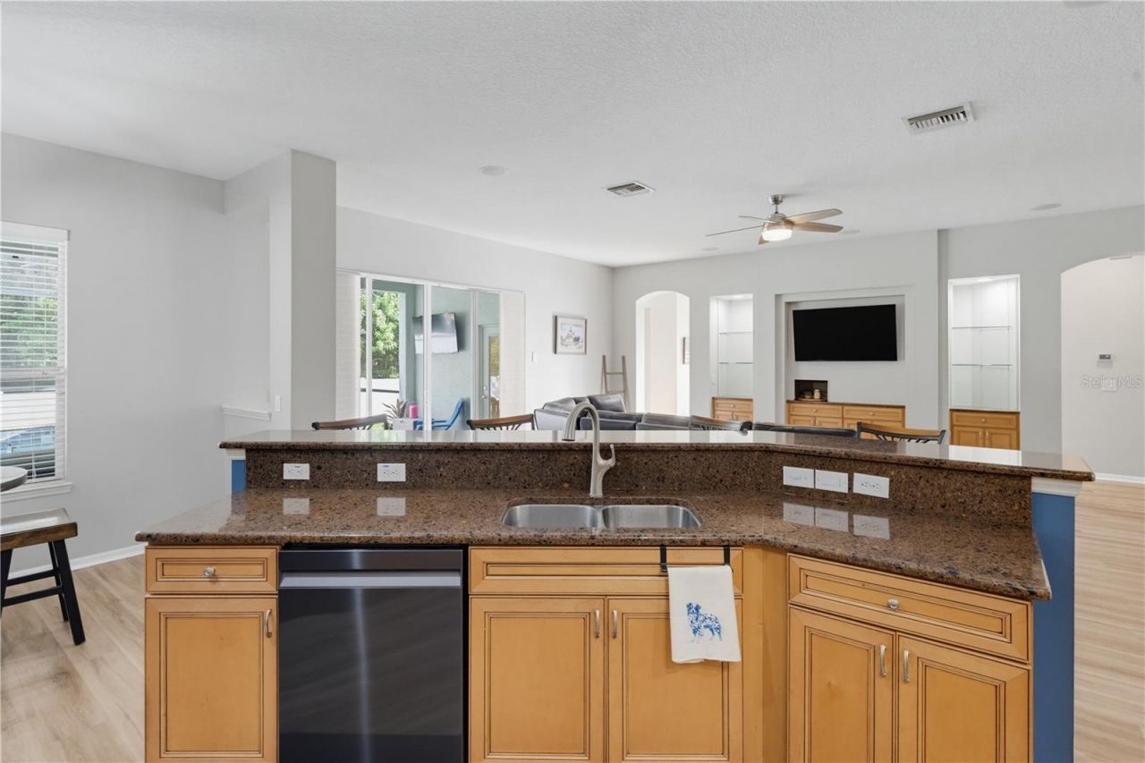 11704 Newberry Grove Loop, Riverview, FL 33579 Photo