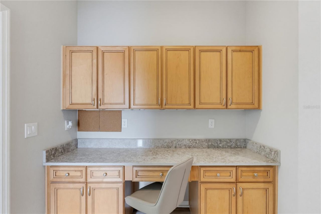 11704 Newberry Grove Loop, Riverview, FL 33579 Photo