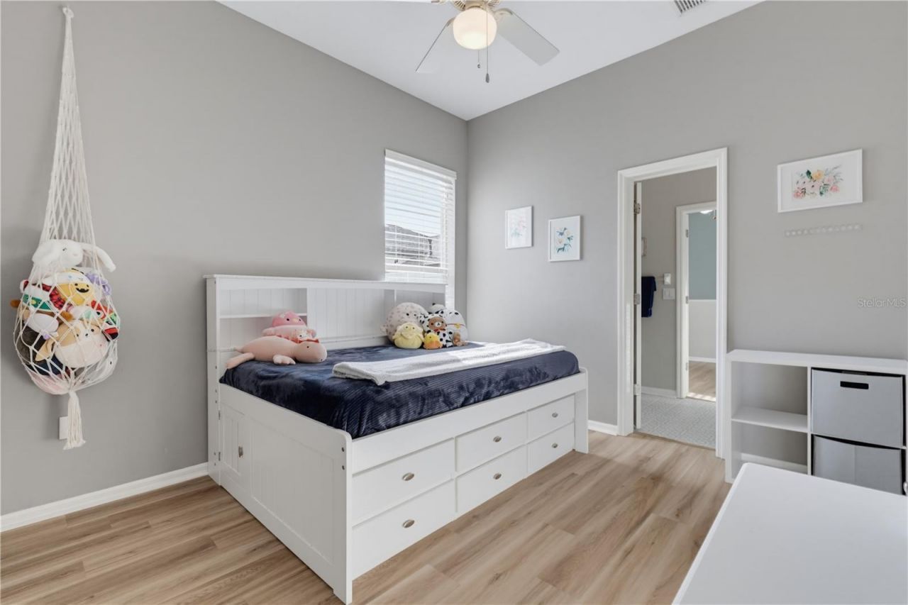 11704 Newberry Grove Loop, Riverview, FL 33579 Photo