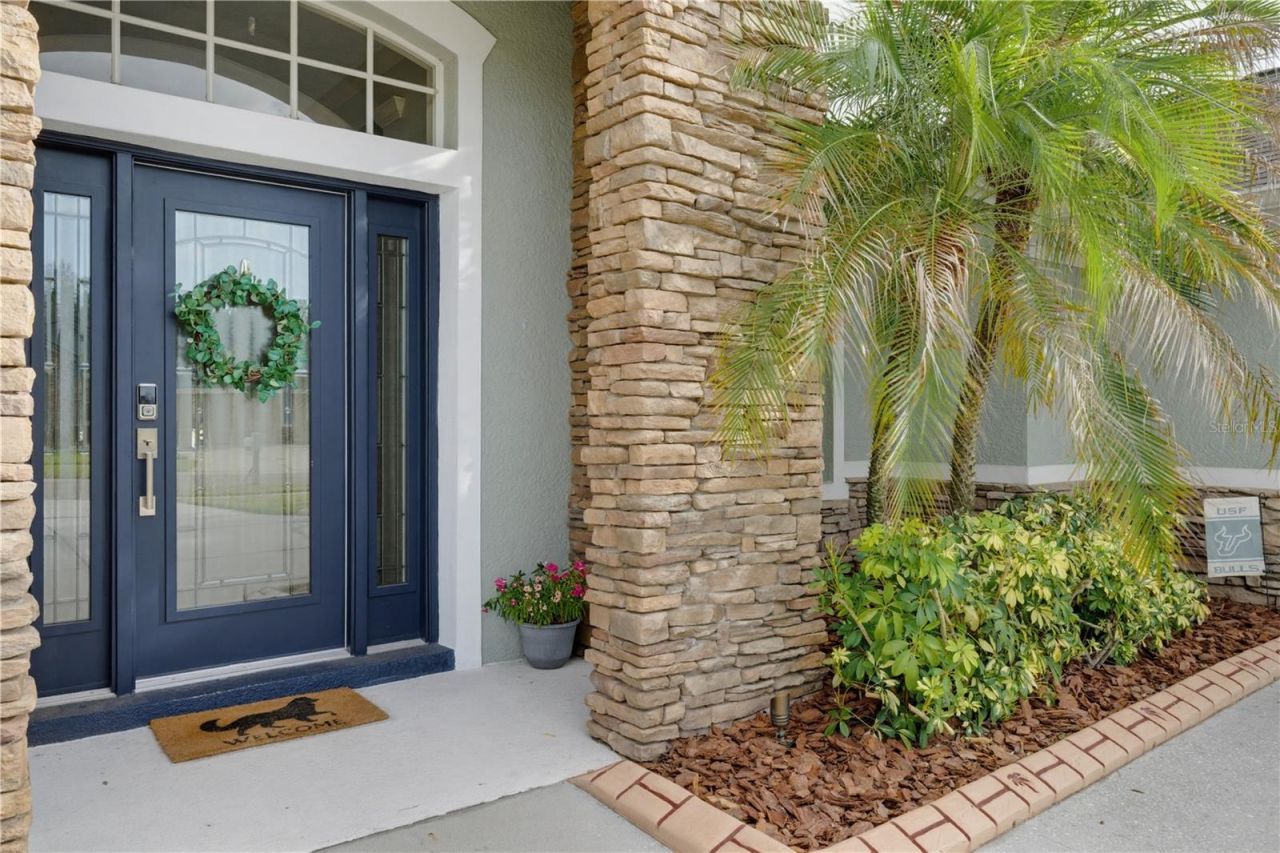 11704 Newberry Grove Loop, Riverview, FL 33579 Photo