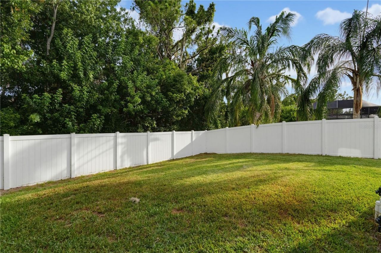 11704 Newberry Grove Loop, Riverview, FL 33579 Photo