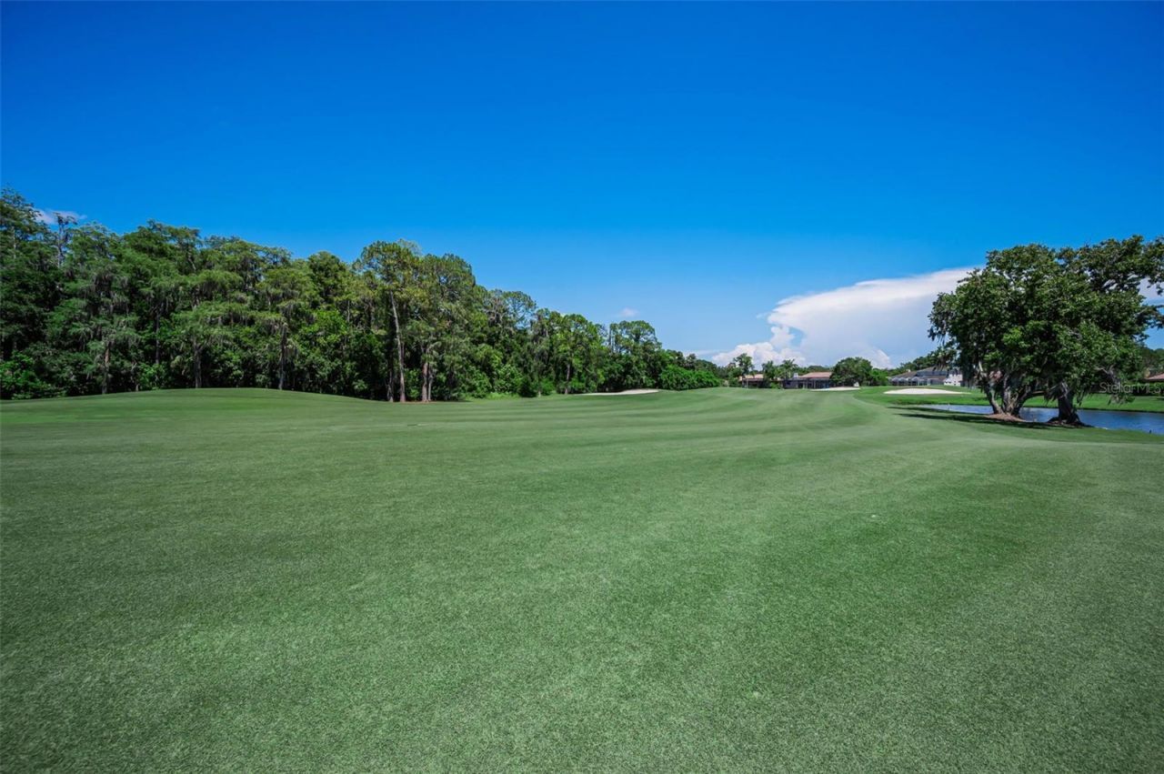4995 Camberley Lane, Oldsmar, FL 34677 Photo