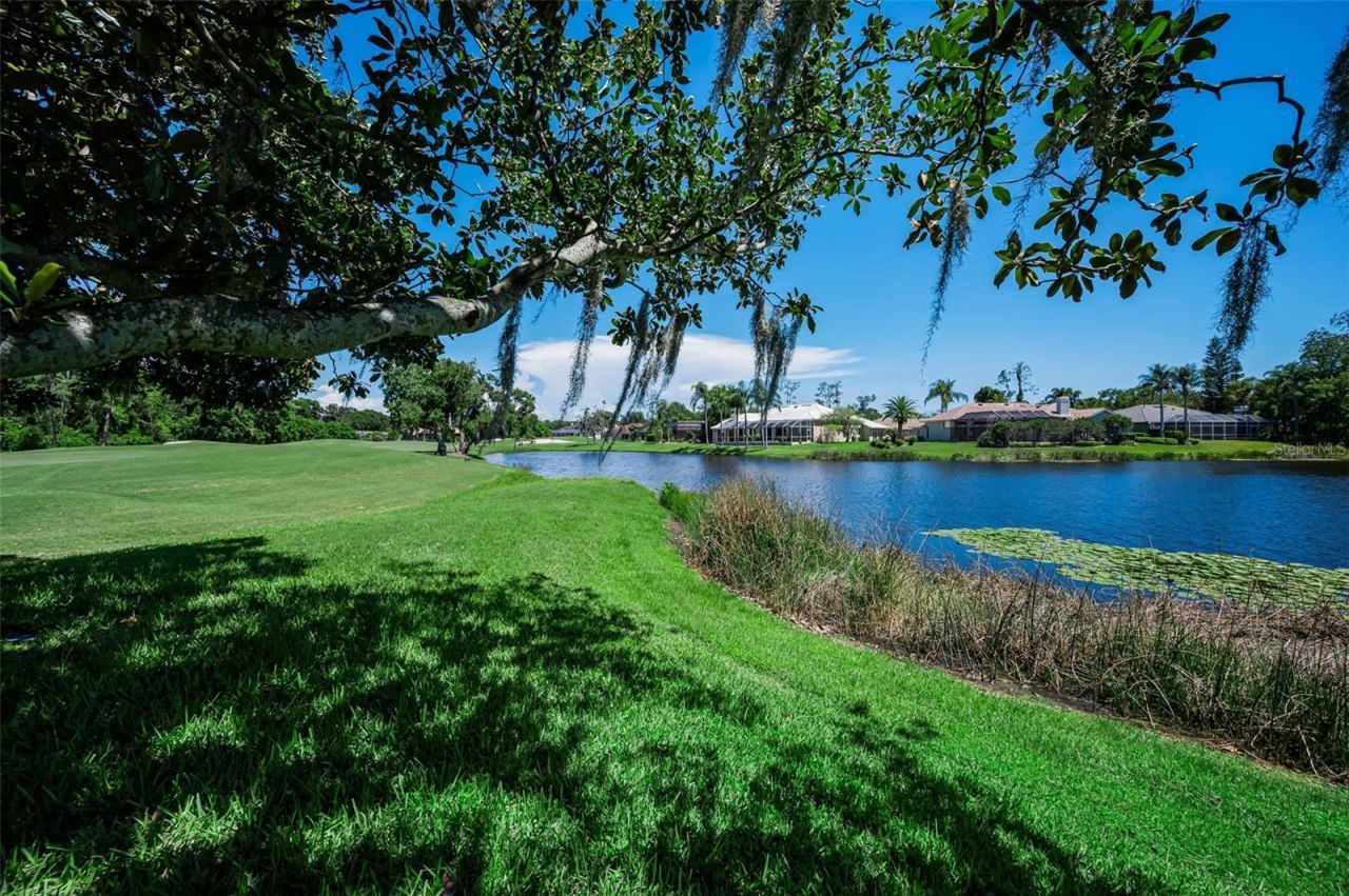 4995 Camberley Lane, Oldsmar, FL 34677 Photo